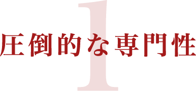 圧倒的な専門性